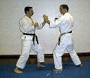Viol Shihan - SSK Power Karate Kumite Combination